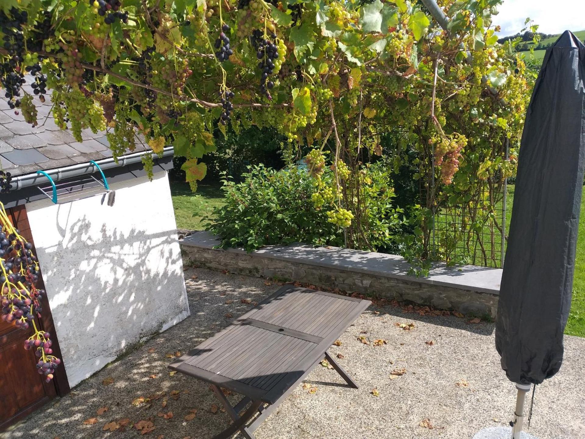 Gite L'Ecole De Ma Mere Villa Bertogne Dış mekan fotoğraf