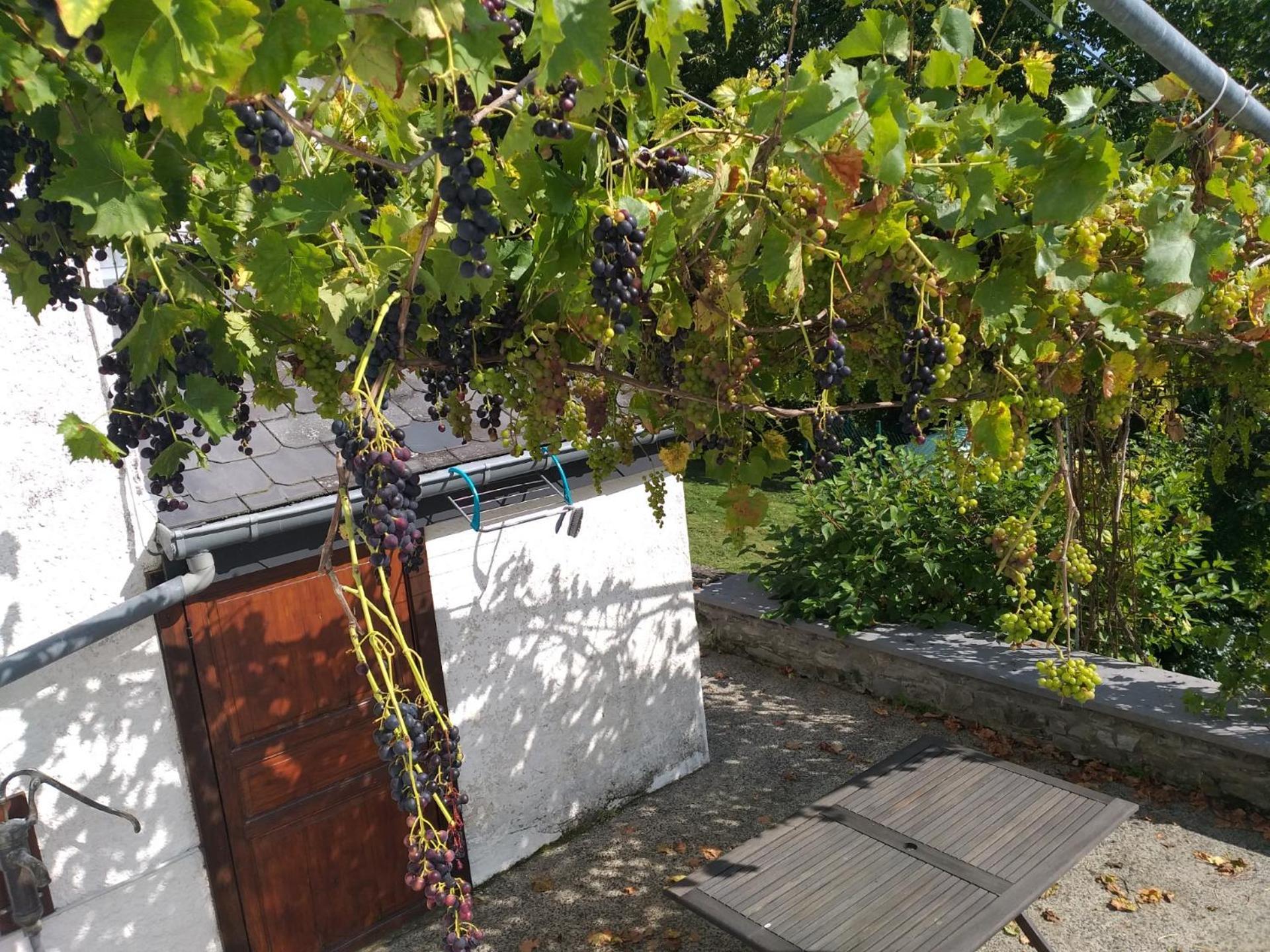 Gite L'Ecole De Ma Mere Villa Bertogne Dış mekan fotoğraf