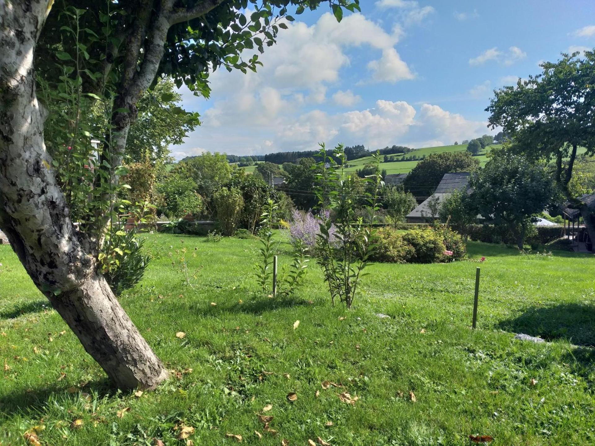 Gite L'Ecole De Ma Mere Villa Bertogne Dış mekan fotoğraf
